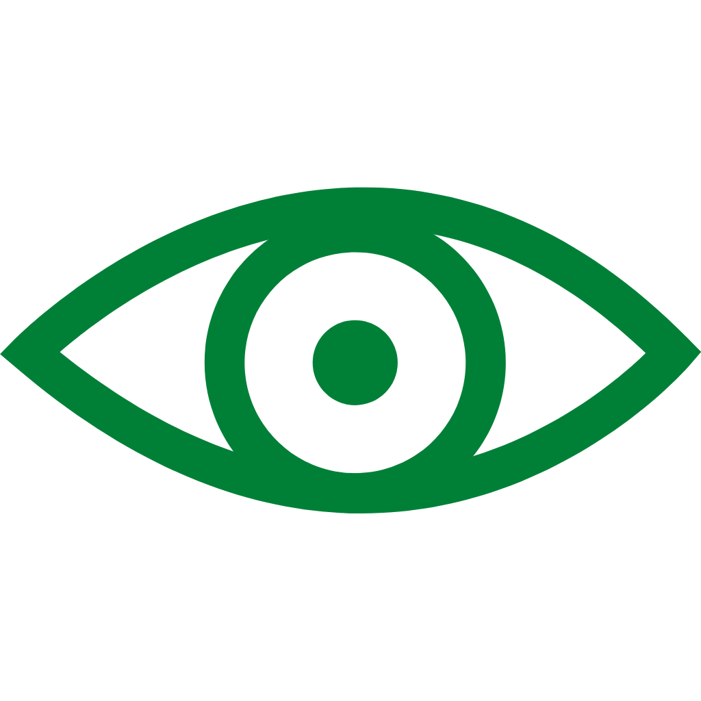 EyeMed Vision 2024